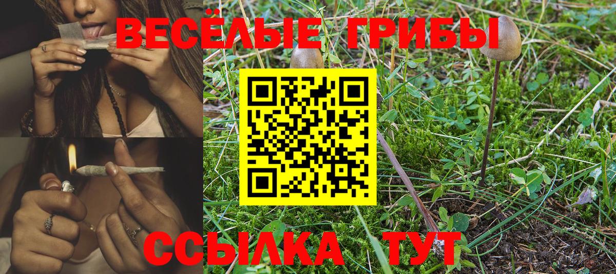 Галлюциногенные грибы MAGIC MUSHROOMS Тамбов